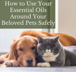 How to Use Your Essential Oils Around Your Beloved Pets Safely