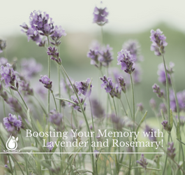 Unleashing the Power of Essential Oils: Boosting Your Memory with Lavender and Rosemary!