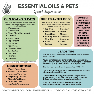 Essential Oils for Pets: A Guide to Safe Usage