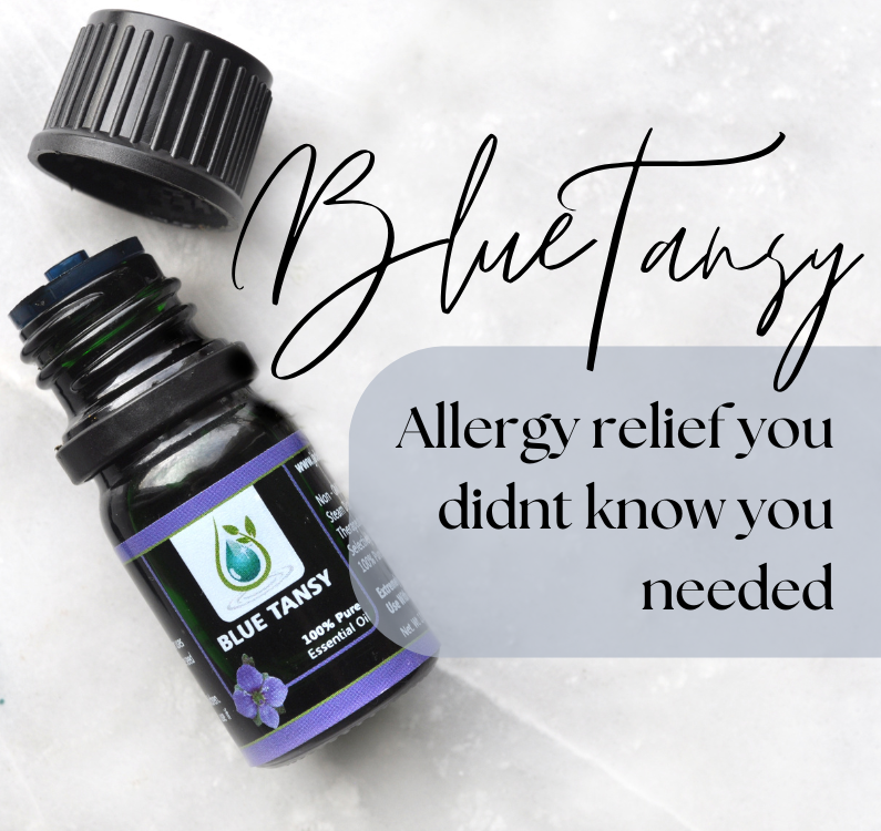 This One Blue Tansy Oil Trick Stops Histamine Reactions in Their Tracks